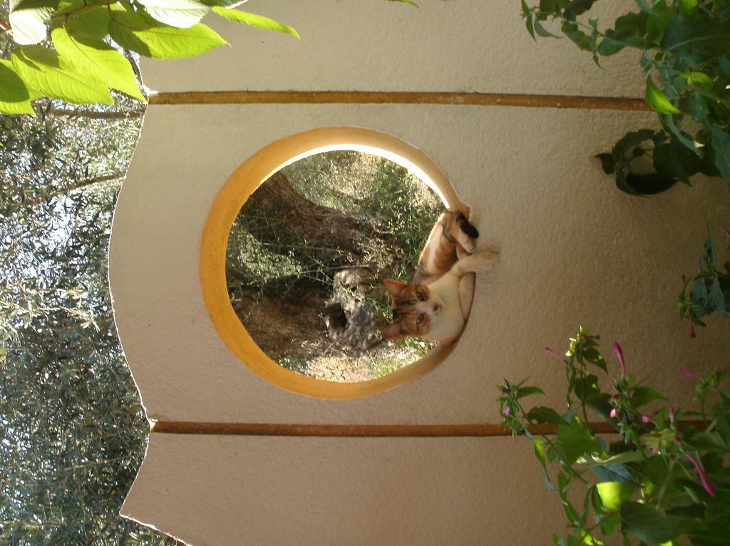Athina Aparthotel Κάβος Εξωτερικό φωτογραφία